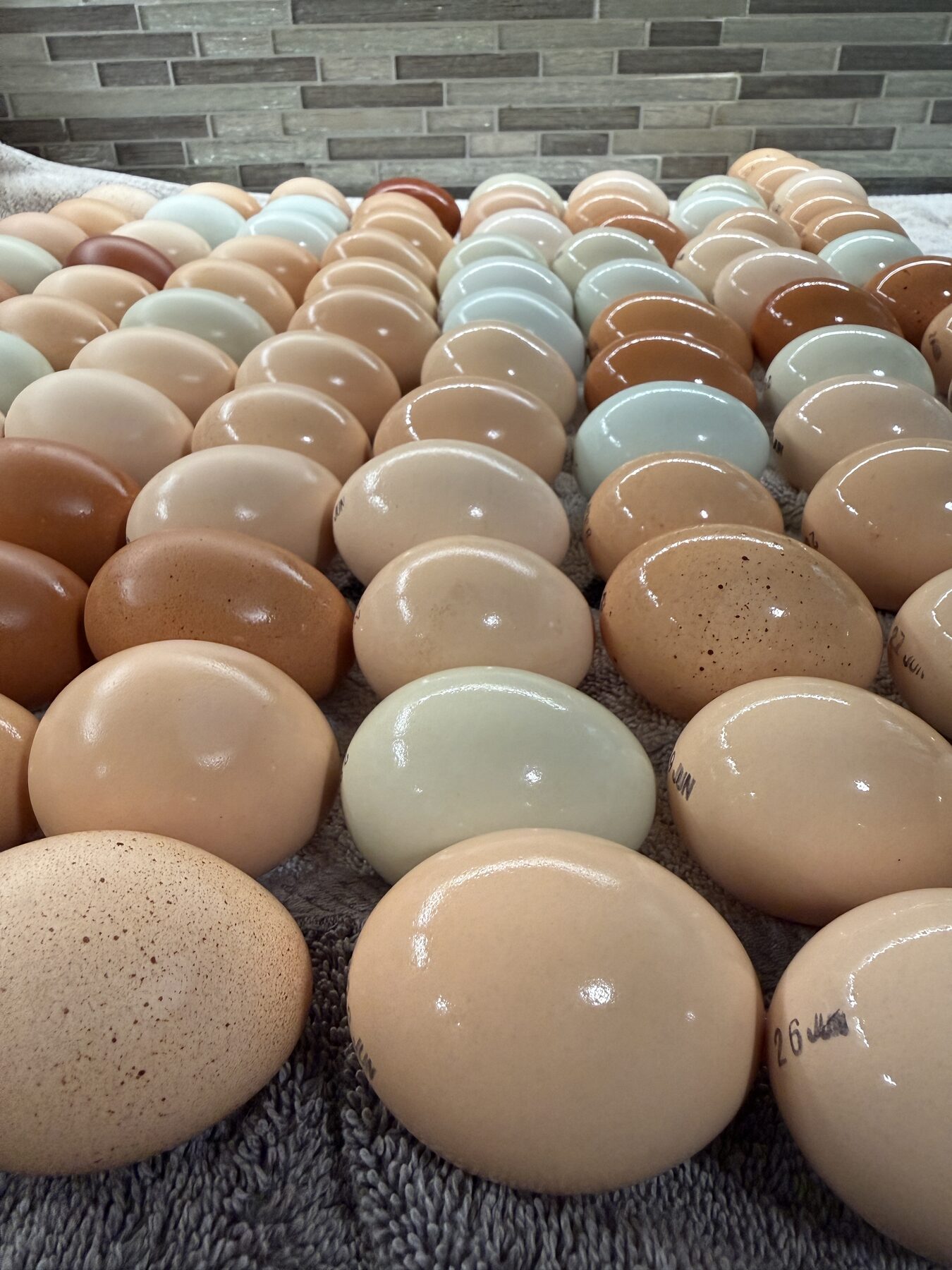 A rainbow of fresh farm eggs