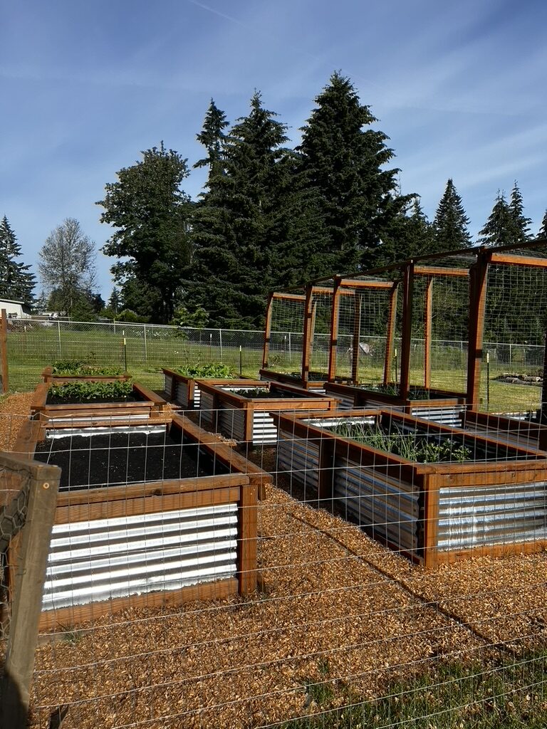 Raised garden beds at Boring Acre Farm in early spring